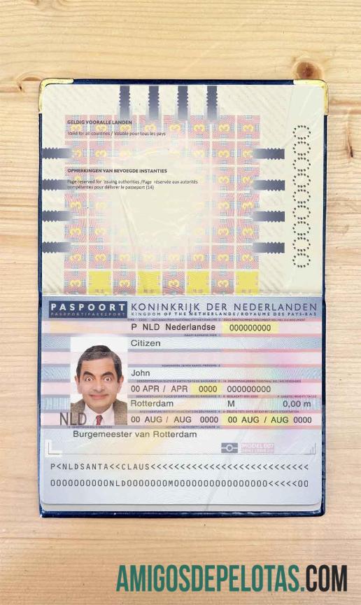 Passaporte holandês (Holanda) (2006 2016) Visual fotográfico amostra
